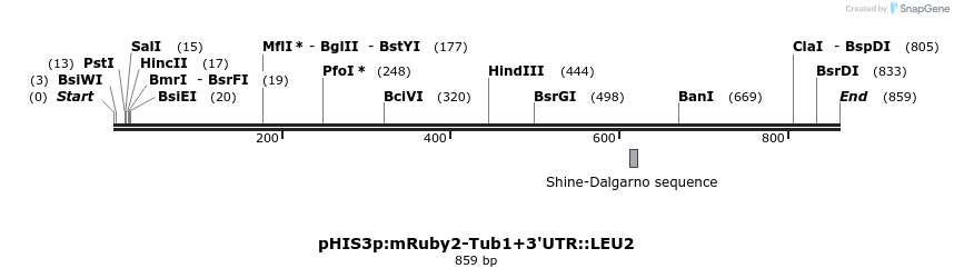 77816_map