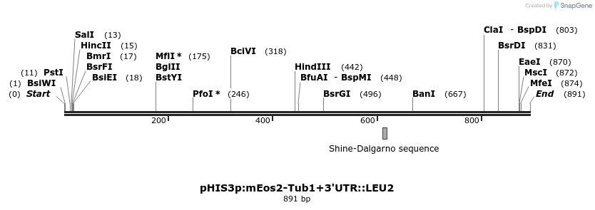 77818_map