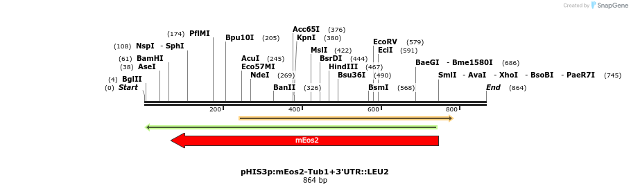 77820_map