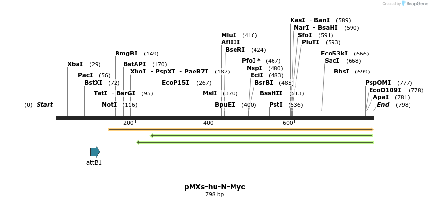 77821_map