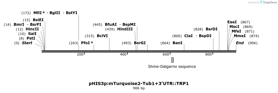 77822_map
