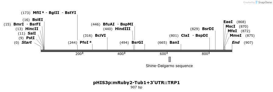 77826_map