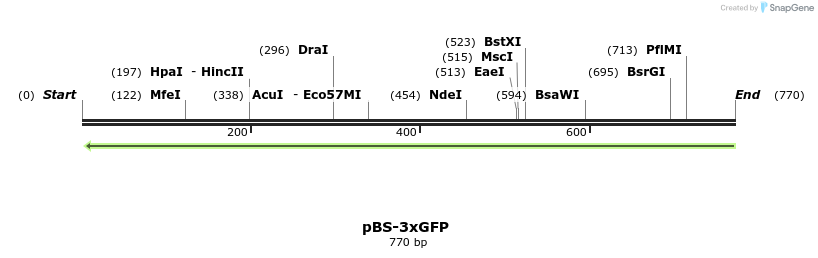 77834_map