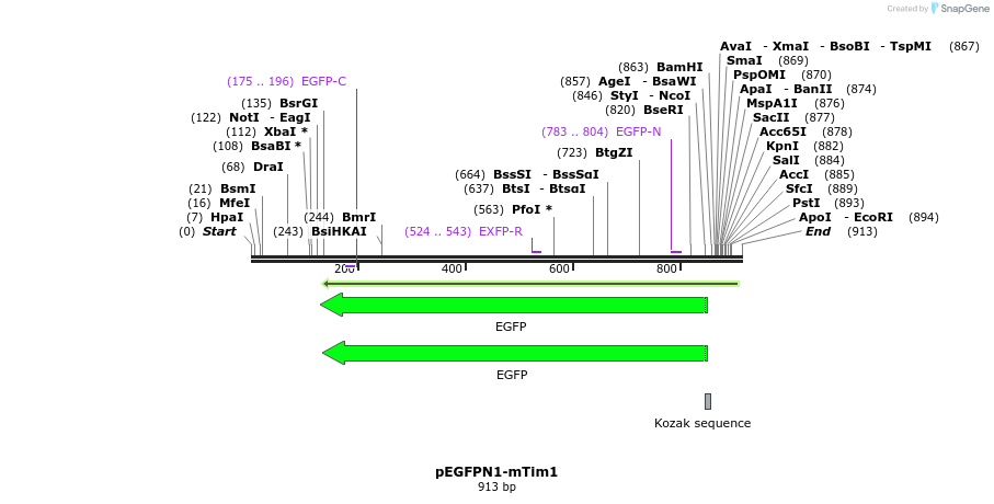 77837_map