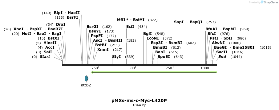 77849_map