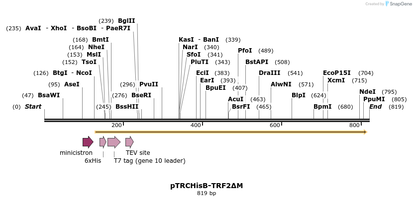 77850_map