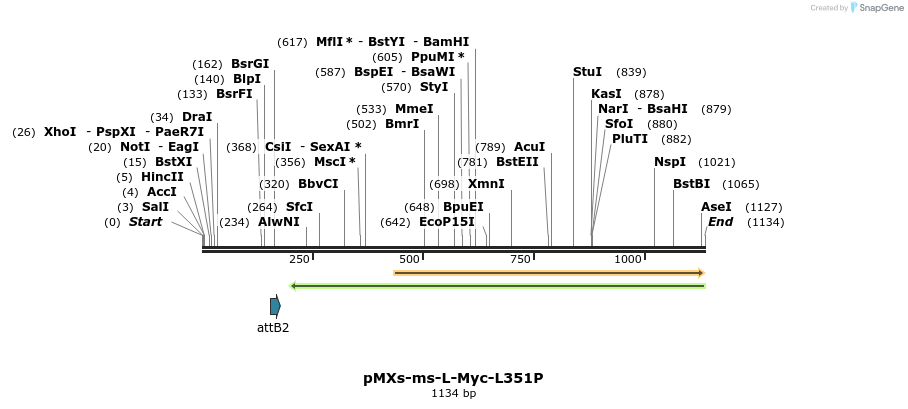 77853_map