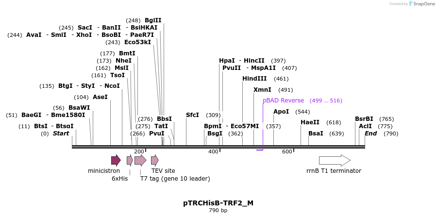 77854_map