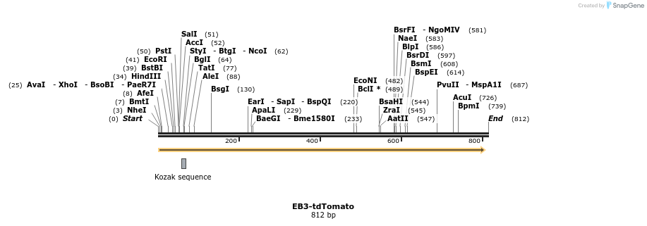 77855_map