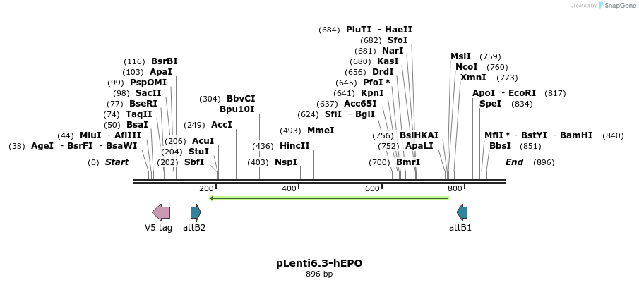 77856_map