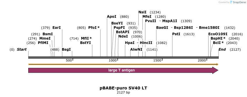 7786_map