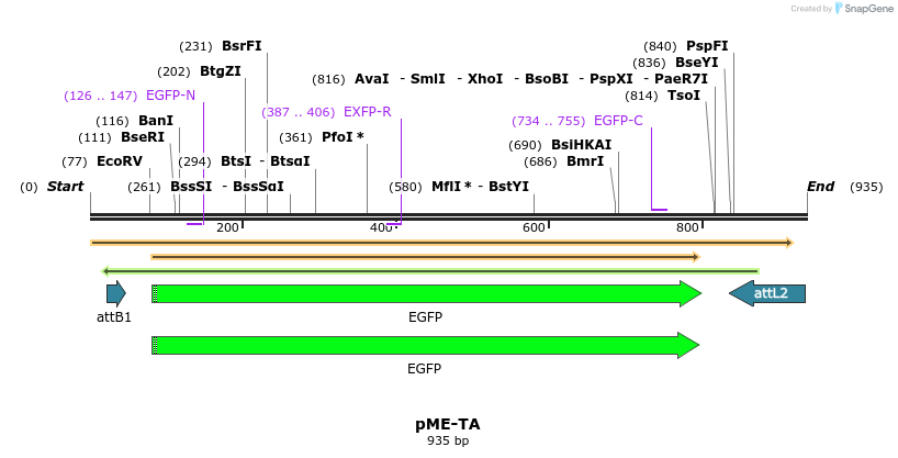 77860_map