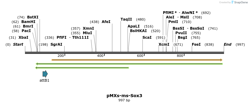 77861_map