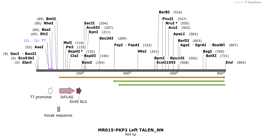 77862_map