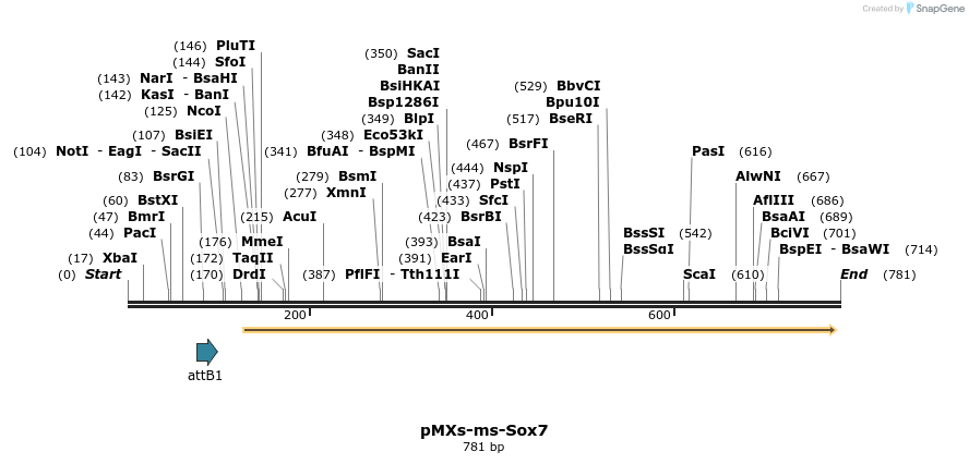 77864_map