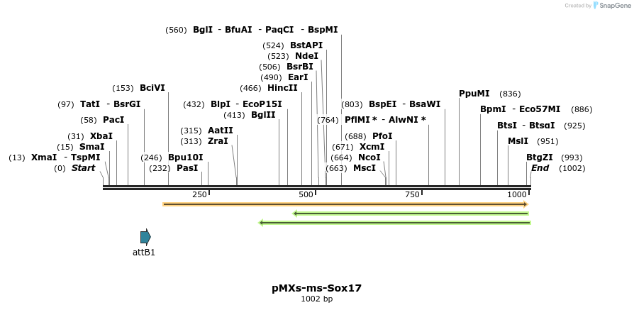 77865_map