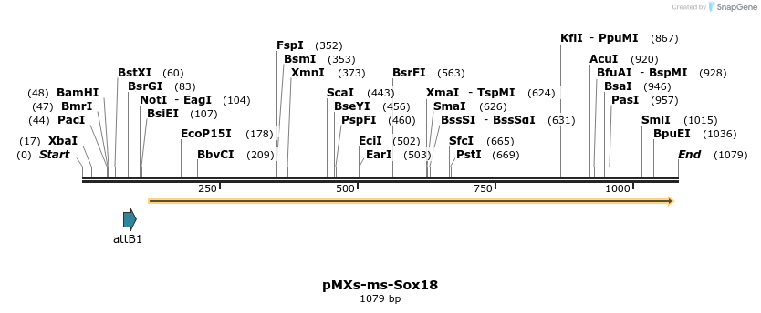 77866_map