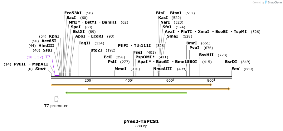 77876_map