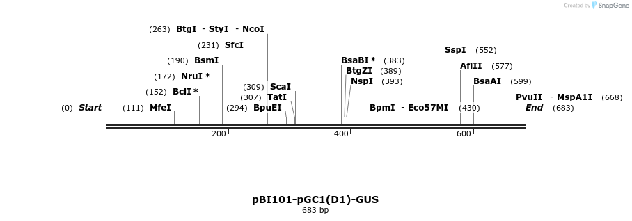 77887_map