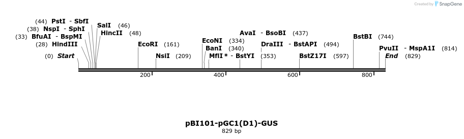 77894_map