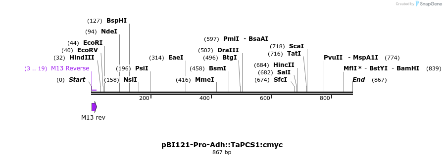 77898_map