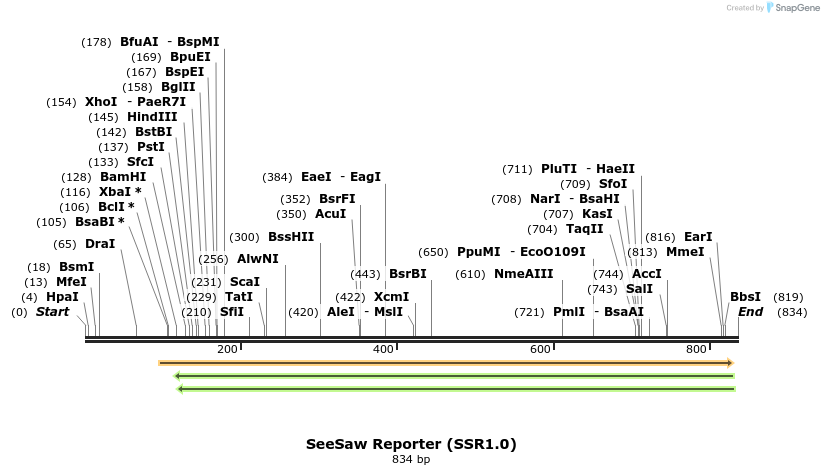 77902_map