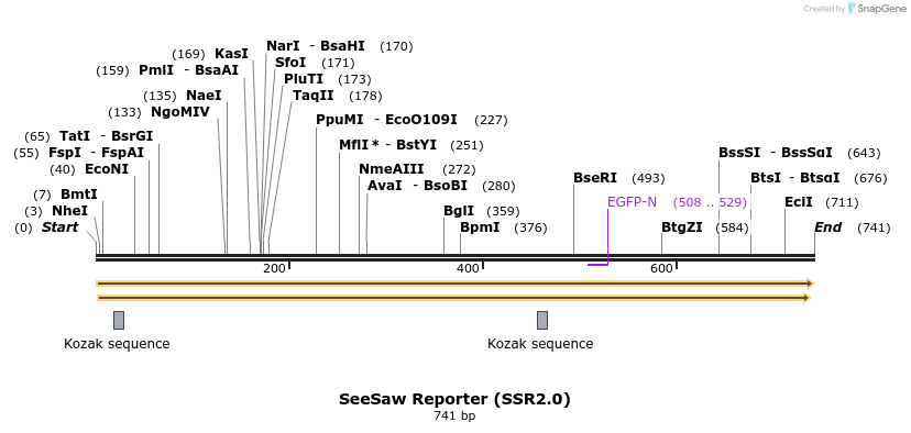 77903_map