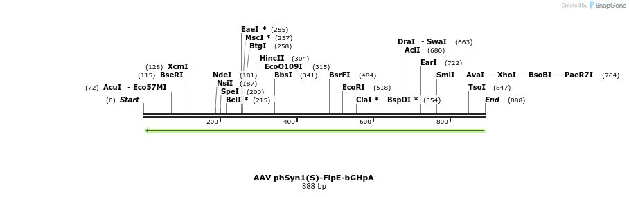77906_map