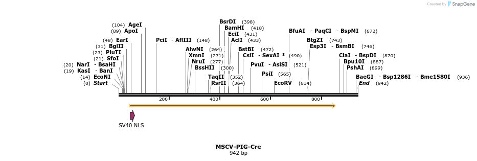 77907_map