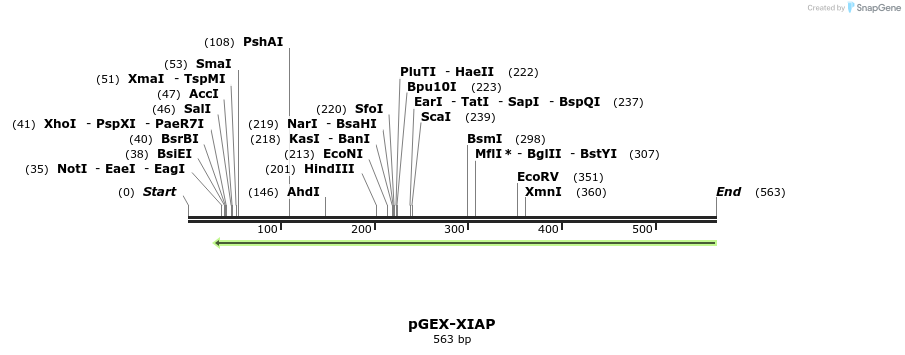 77908_map