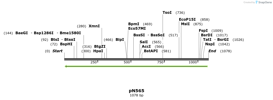 77911_map