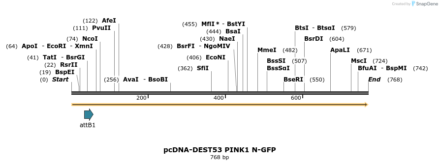 77918_map