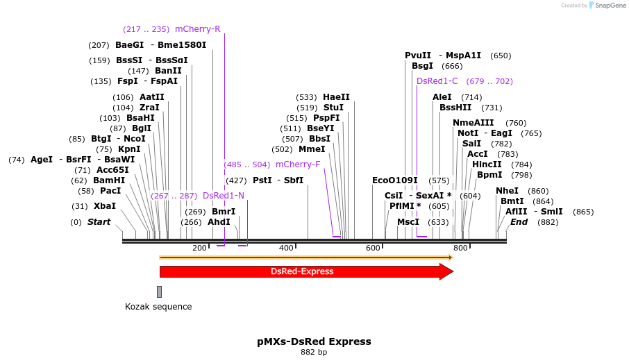 77919_map