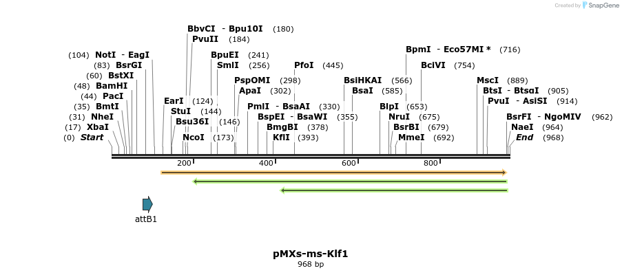 77922_map