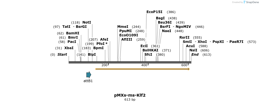 77923_map