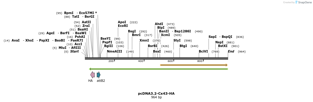 77924_map