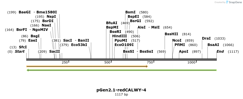 77929_map