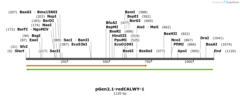 77931_map