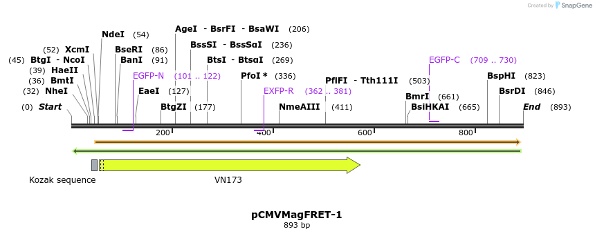 77932_map