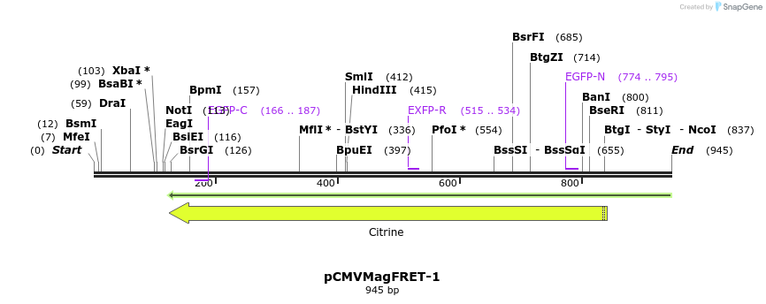 77933_map
