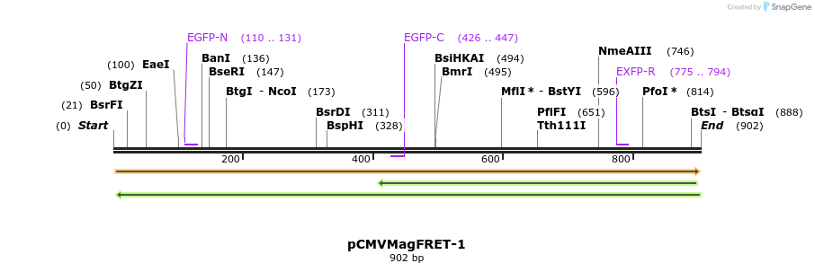 77934_map