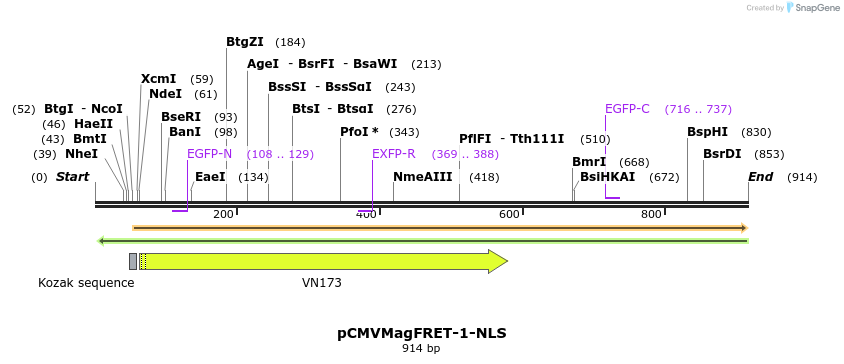 77935_map