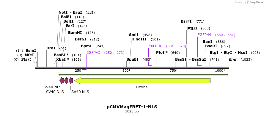77937_map