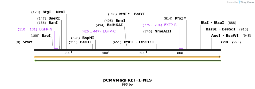 77938_map