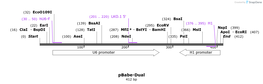 7794_map