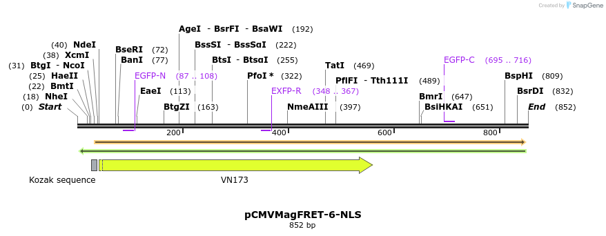 77942_map