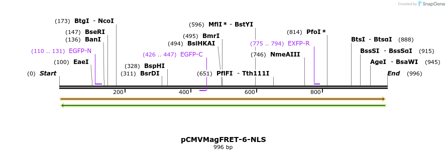 77945_map