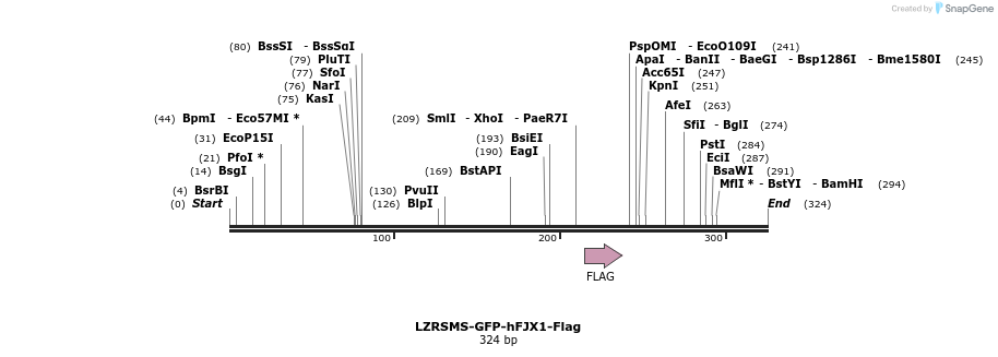 77948_map