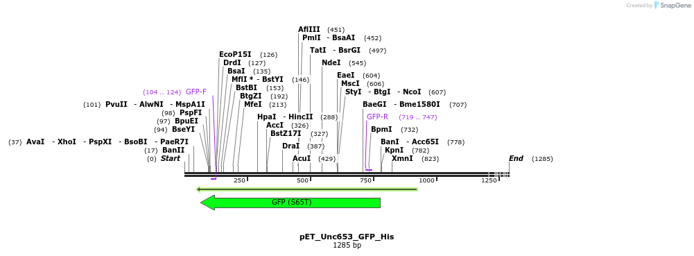 7795_map