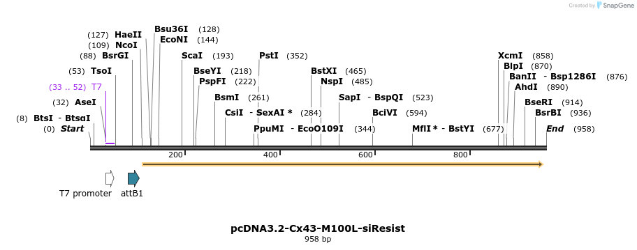 77953_map